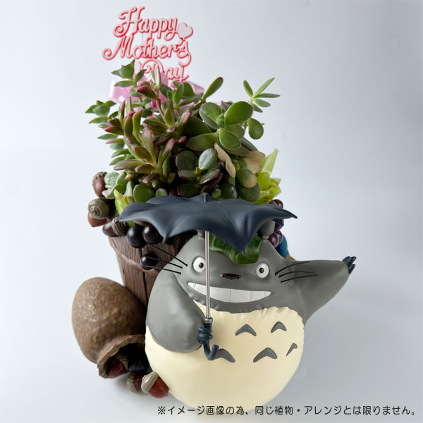 スタジオジブリ 予約商品 となりのトトロ どすーん！びっくり！ 母の日