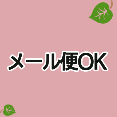 メール便OK
