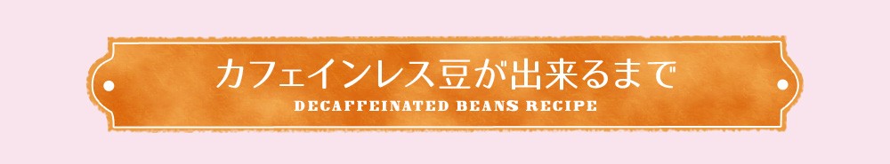 カフェインレス豆が出来るまで