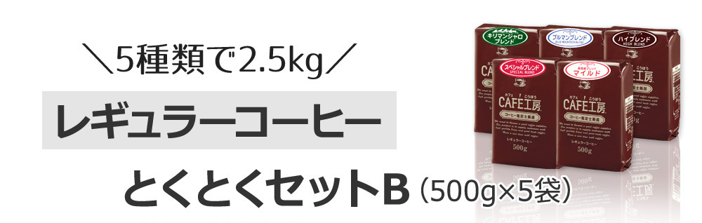 とくとくセットB（500g×5袋）