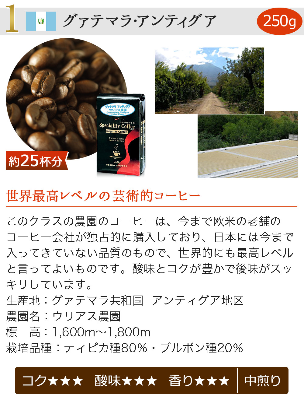 コーヒー コーヒー豆 粉 高級レギュラーコーヒー8種セット2kg : カフェ