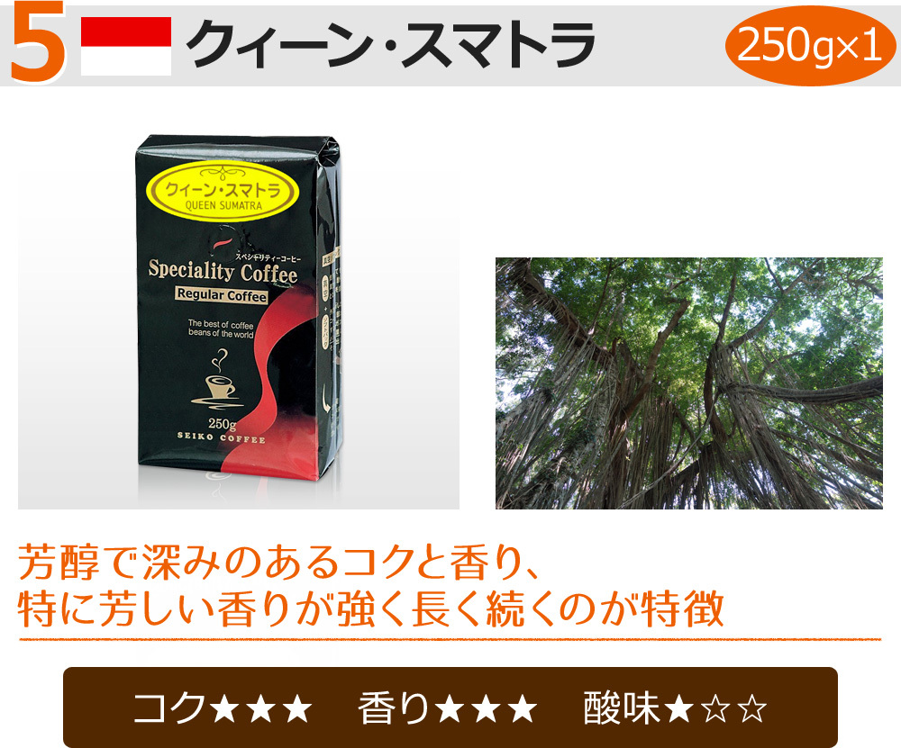 最大55%OFFクーポン 福袋 コーヒー コーヒー豆 粉 世界のスペシャルティコーヒー250g×5種 machetekites.com