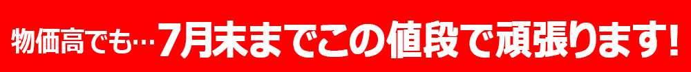 7月末までこの値段