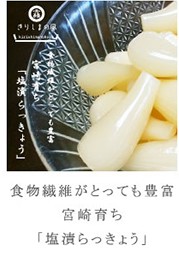塩らっきょう（上沖産業）80g×10袋【送料無料】