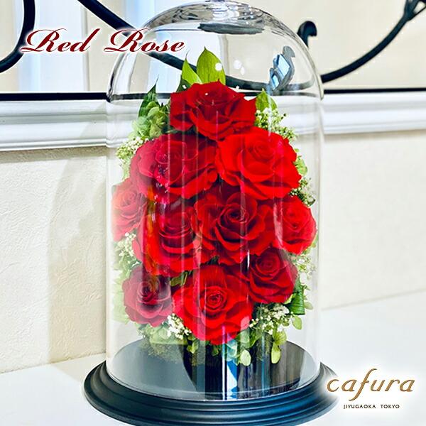 ギフト 母の日 プレゼント プリザーブドフラワー 胡蝶蘭 名入れ 記念品 開業 御祝 お供え お悔やみ 仏壇 法事 就任 退職 退官 金婚式 ブリザードフラワー Wantannas Go Id ギフト 母の日 プレゼント プリザーブドフラワー 胡蝶蘭 名入れ 記念品 開業 御祝 お供え お悔やみ 仏壇 法事 就任 退職 退官 金婚式 ブリザードフラワー Wantannas Go Id