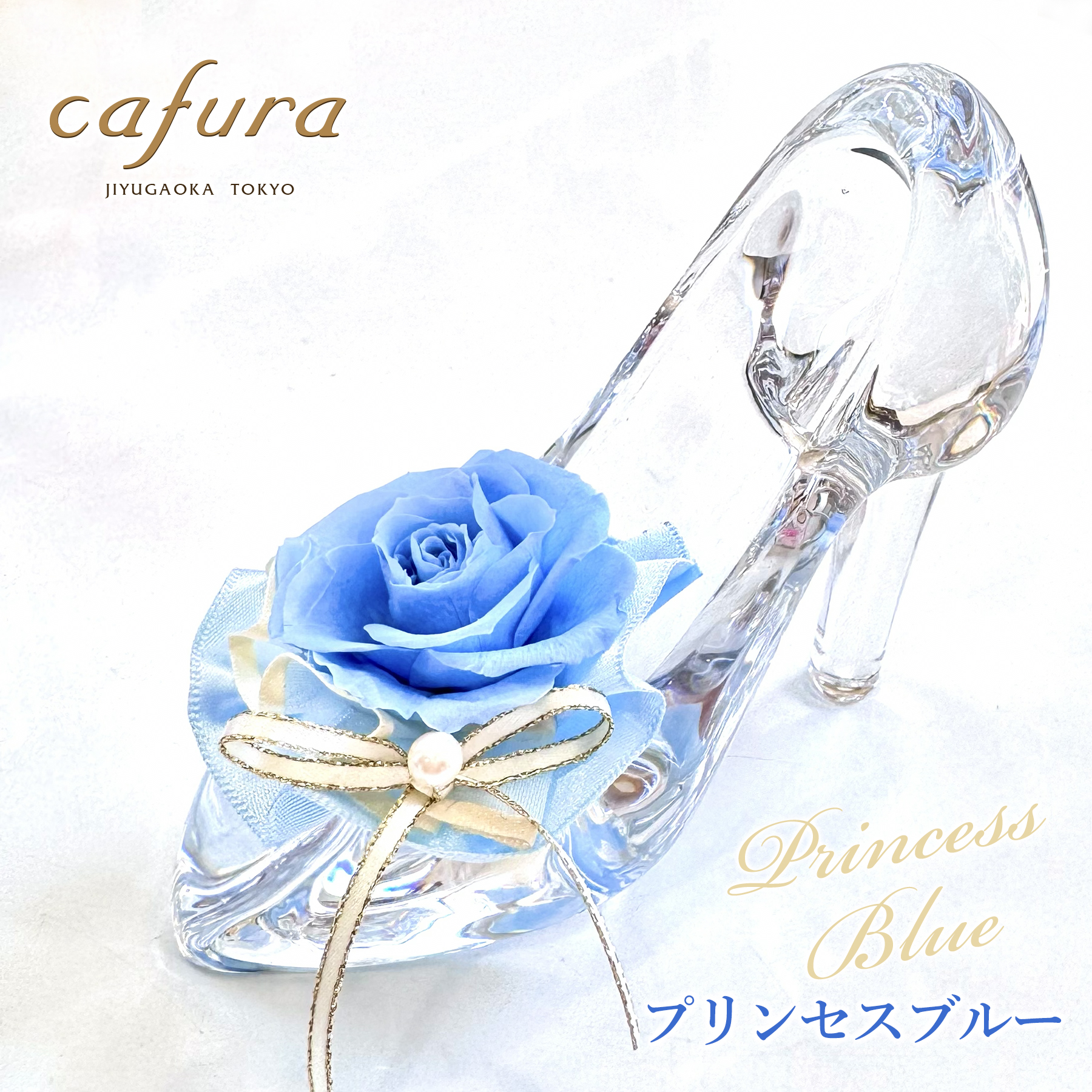 cinderella2026-bl1800.jpg