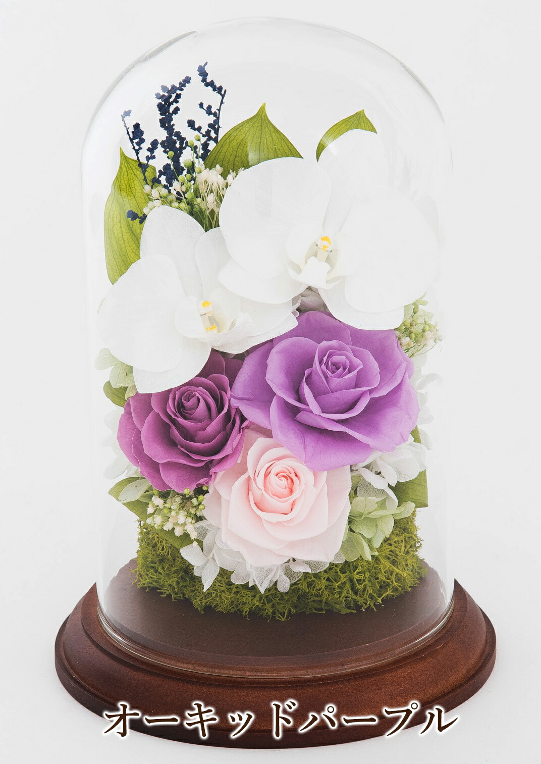 プリザーブドフラワー ギフト 胡蝶蘭 花 薔薇 バラ ガラスドーム 御祝 誕生日 就任 仏花 お供え 名入れ 記念品 記念日 ブリザード 退職 就任 還暦 古希 米寿 花束、アレンジメント プリザーブドフラワー ギフト 胡蝶蘭 花 薔薇 バラ ガラスドーム 御祝 誕生日 就任 仏花 お供え 名入れ 記念品 記念日 ブリザード 退職 就任 還暦 古希 米寿 花束、アレンジメント