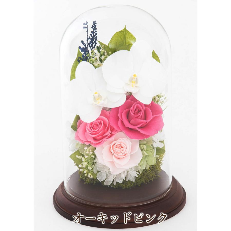 プリザーブドフラワー ギフト 胡蝶蘭 花 薔薇 バラ ガラスドーム 御祝 誕生日 就任 仏花 お供え 名入れ 記念品 記念日 ブリザード 退職 就任 還暦 古希 米寿 花束、アレンジメント プリザーブドフラワー ギフト 胡蝶蘭 花 薔薇 バラ ガラスドーム 御祝 誕生日 就任 仏花 お供え 名入れ 記念品 記念日 ブリザード 退職 就任 還暦 古希 米寿 花束、アレンジメント