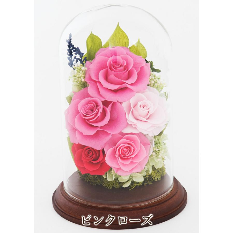 プリザーブドフラワー ギフト 胡蝶蘭 花 薔薇 バラ ガラスドーム 御祝 誕生日 就任 仏花 お供え 名入れ 記念品 記念日 ブリザード 退職 就任 還暦 古希 米寿 花束、アレンジメント プリザーブドフラワー ギフト 胡蝶蘭 花 薔薇 バラ ガラスドーム 御祝 誕生日 就任 仏花 お供え 名入れ 記念品 記念日 ブリザード 退職 就任 還暦 古希 米寿 花束、アレンジメント