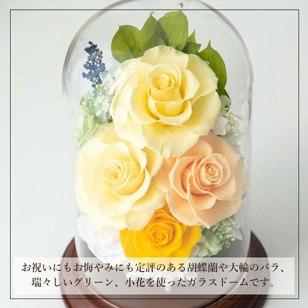 imgrc0083538209.jpg imgrc0083538209.jpg