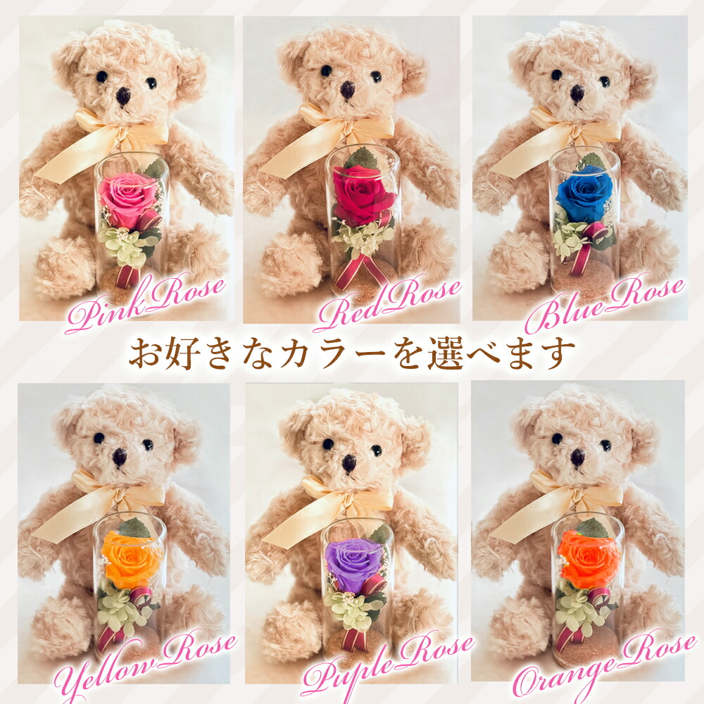 ディアテディ6色