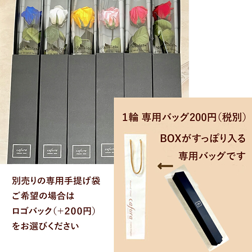 imgrc0092871725.jpg