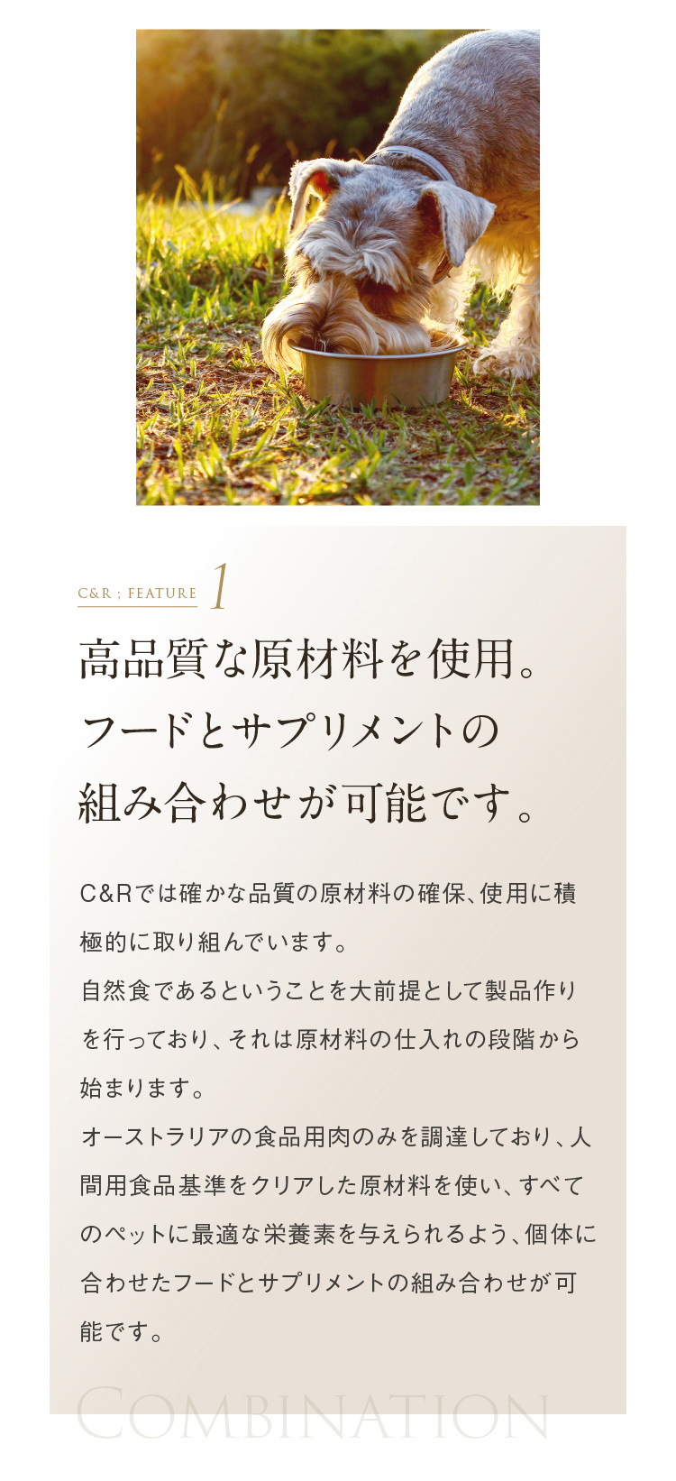 C&R ビタミンBコンプレックス Mサイズ（46g） 犬猫用サプリメント 正規
