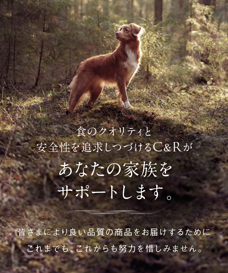 C&R ビタミンBコンプレックス Mサイズ（46g） 犬猫用サプリメント 正規