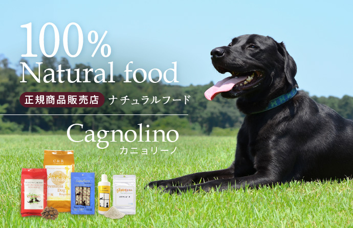 カニョリーノYahoo!店 - Yahoo!ショッピング