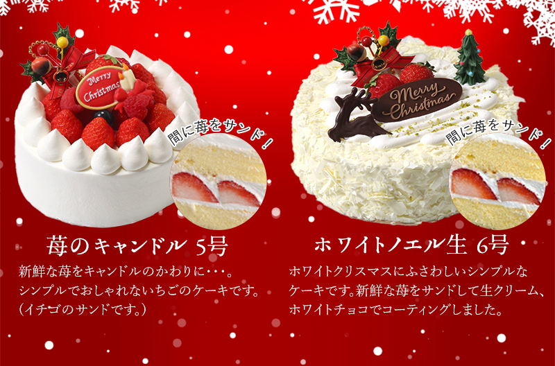 早割クーポン配布中】特製 クリスマスケーキ 予約 2022 生クリーム 6号 直径18cm :xmas-5-6:ケーキギャラリー 大陸 - 通販 -  Yahoo!ショッピング