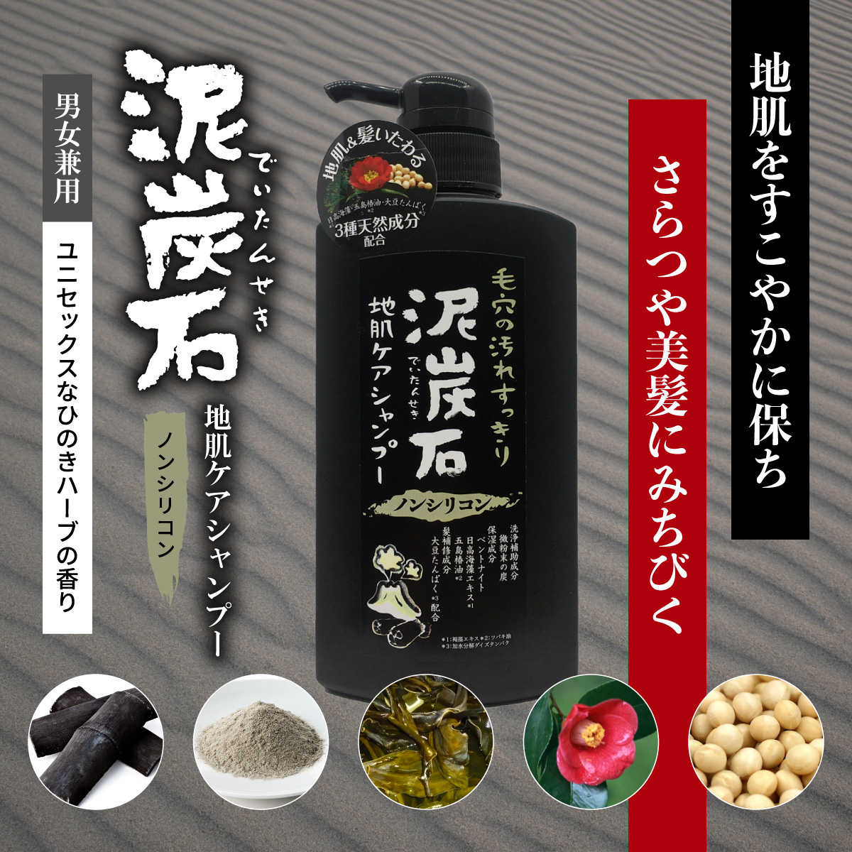 泥炭石（でいたんせき） 地肌ケアシャンプー 500ml ノンシリコン 地肌