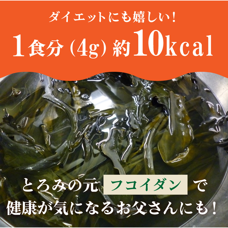 新芽わかめ 昆布の元セット 刻み芽かぶ・ガゴメ昆布入り 和風わかめスープ お徳用 165g （1人150ml