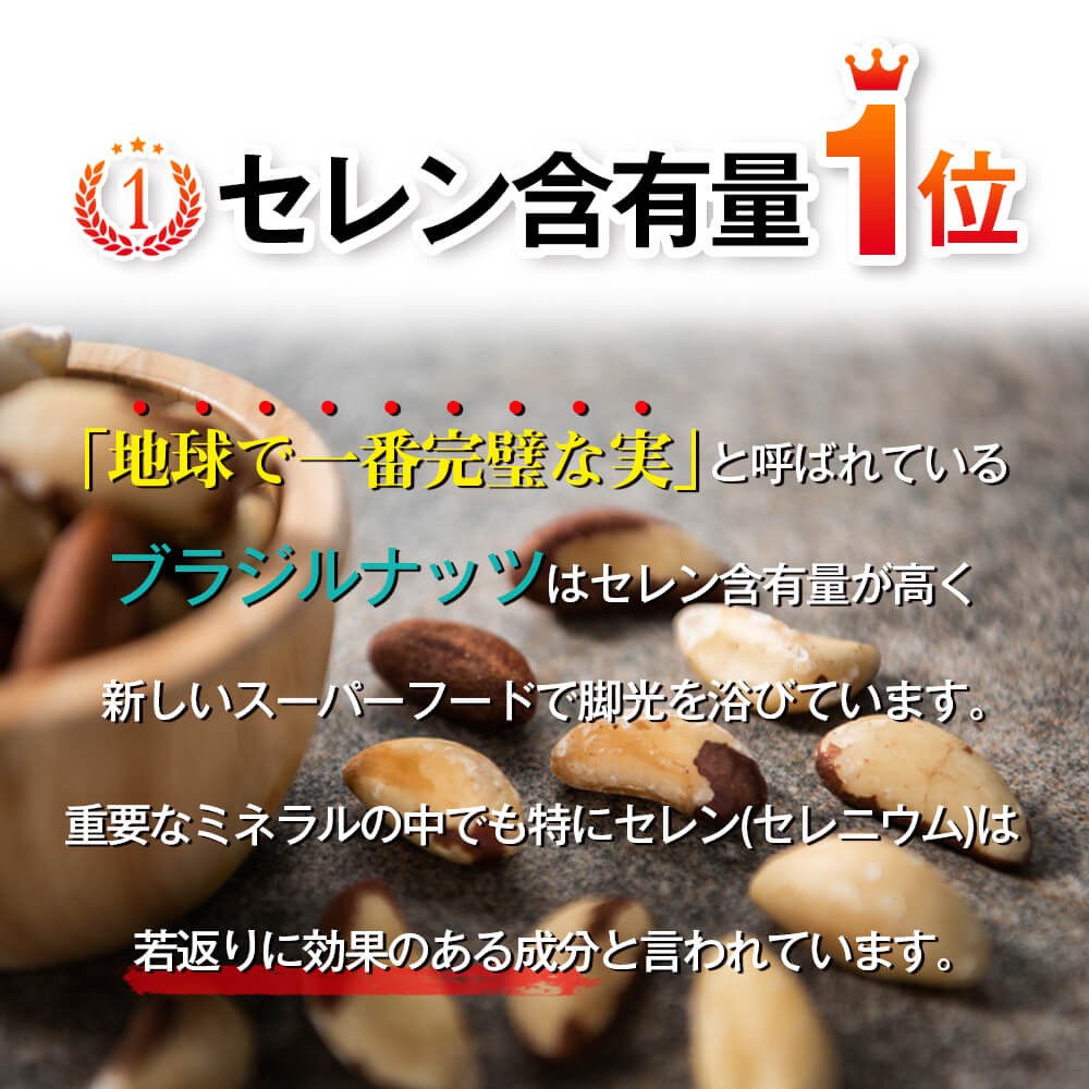 ブラジルナッツ 500g アマゾンのスーパーナッツ 産地直輸入 海外では有名な栄養価の高いナッツ！チャック付き袋 常備食 : bz-01 :  Daily Nuts&Fruits - 通販 - Yahoo!ショッピング