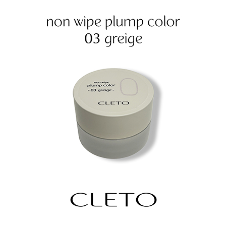 CLETO クレト ノンワイププランプ カラー 01〜12 各4g : ネイル