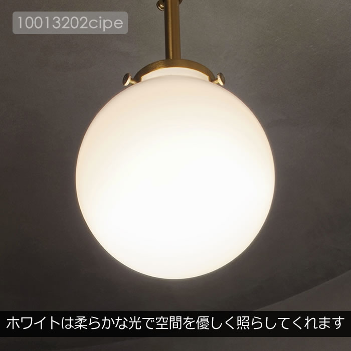 INTERFORM（インターフォルム） 特典付 シーリングライト スポット
