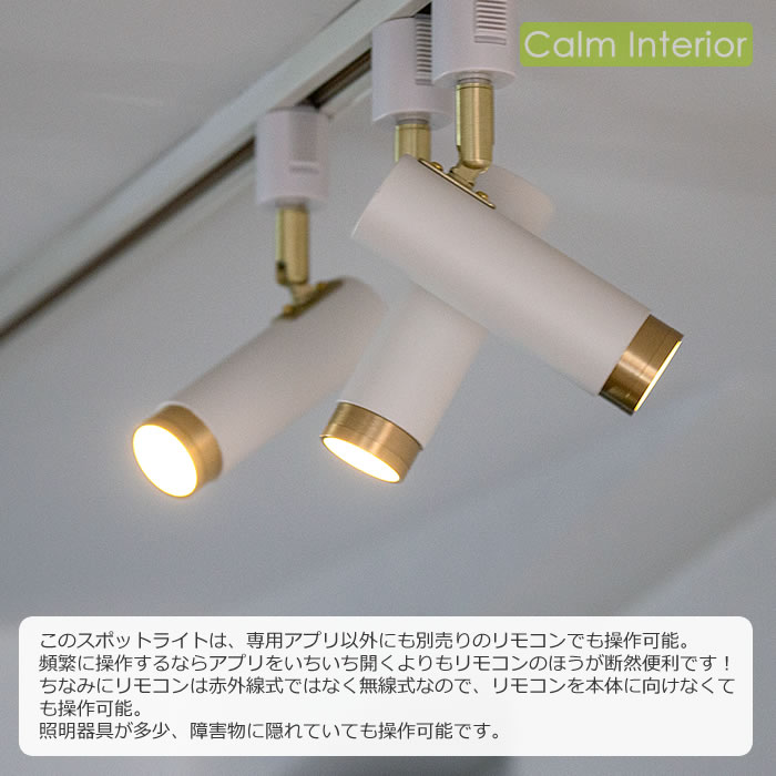 シーリングライト スポットライト 照明器具 照明 ライト 間接照明 LED