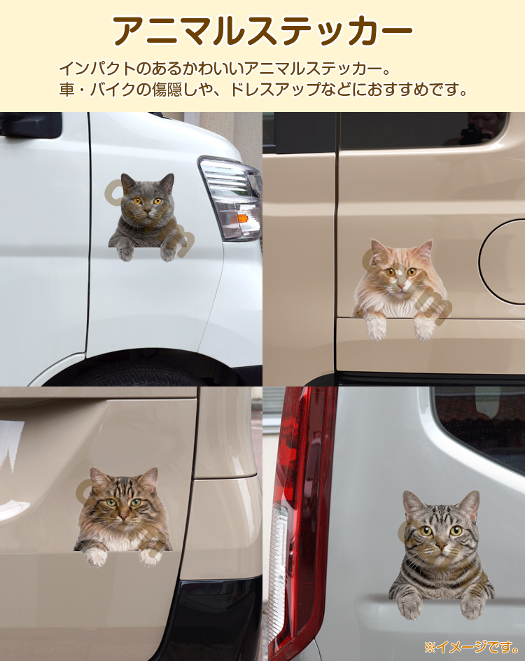 ステッカー 車 シール ネコ マンチカン 覗き...の詳細画像1