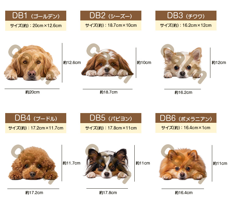 ステッカー 車 シール バイク ポメラニアン 伏せる犬 かわいい リアル