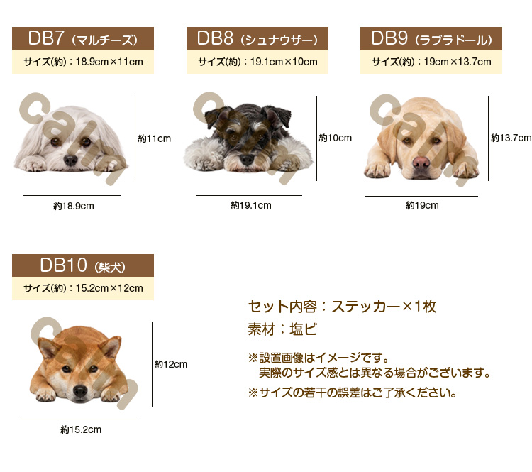 ステッカー 車 シール バイク ポメラニアン 伏せる犬 かわいい リアル