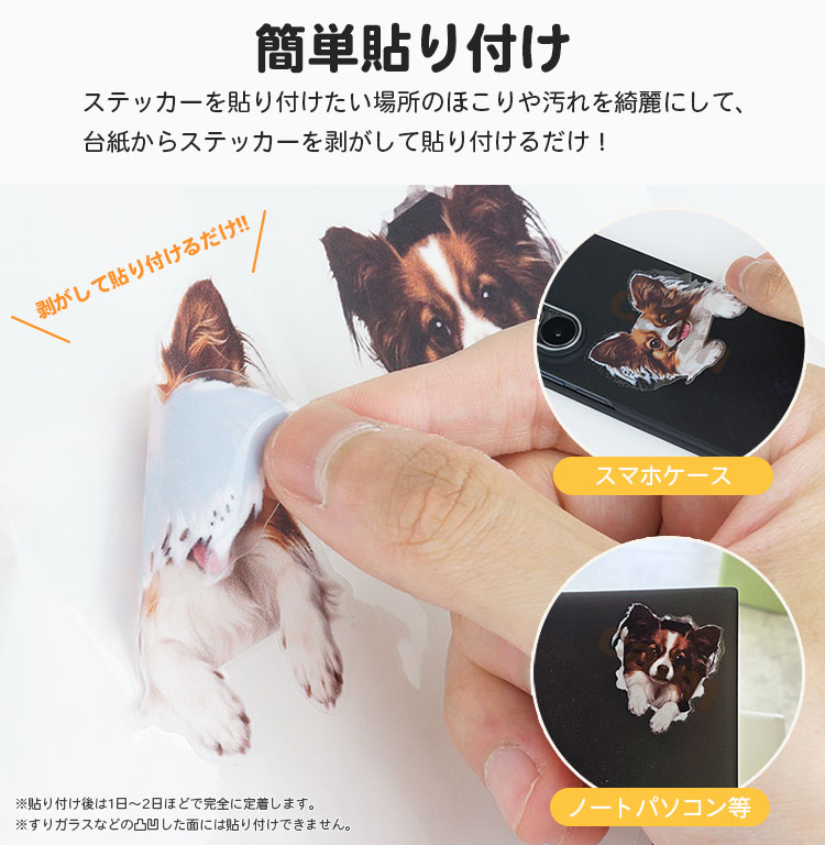 ステッカー スマホ シール スマホステッカー スーツケース トイプードル かわいい 動物 デコシール アニマル リアル 小物 スマホケース プードル トイプー 関連画像2