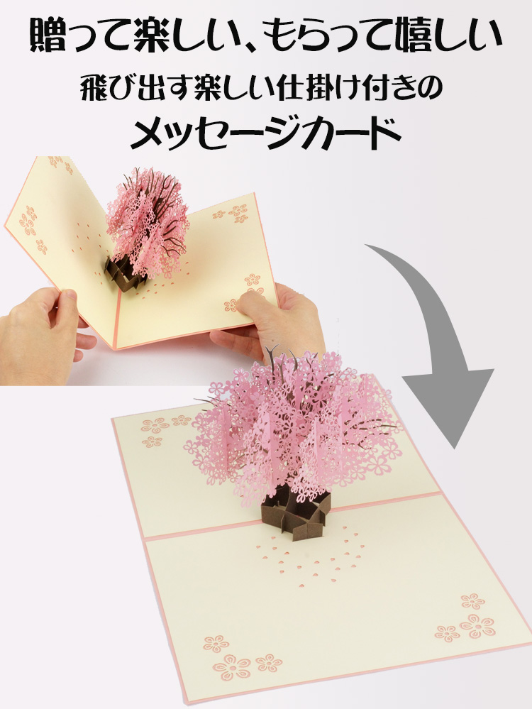 Amazon | Edition Seidel プレミアム スクエア バースデーカード