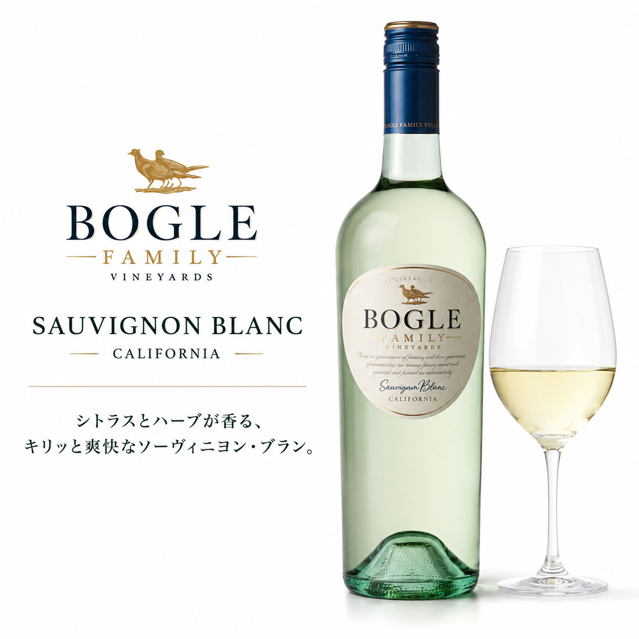 ボーグル ソーヴィニヨンブラン カリフォルニア 2024 カリフォルニアワイン Bogle Vineyards Sauvignon Blanc California