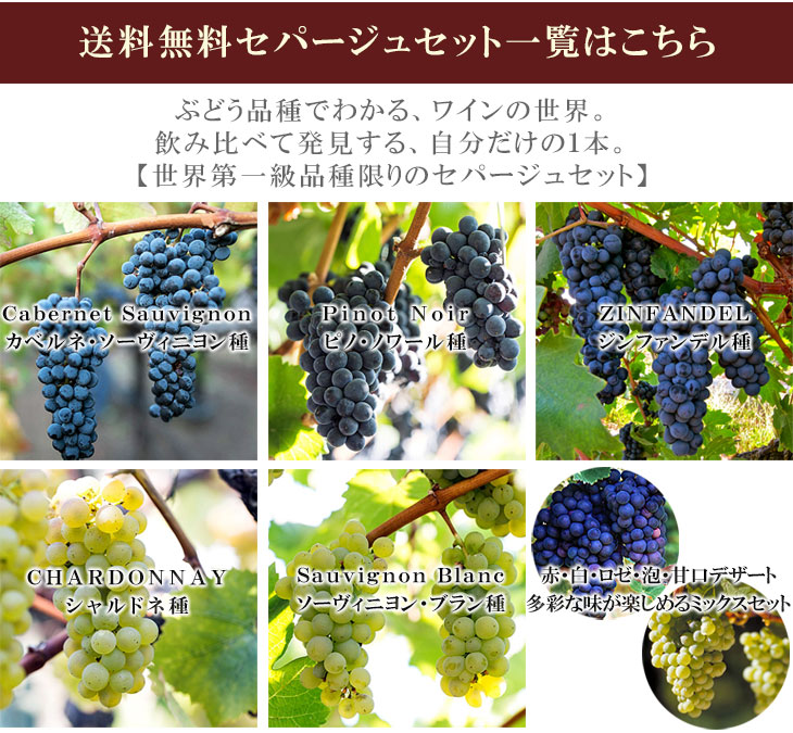 送料込み 白ワイン4種【多彩な葡萄品種を楽しめる飲み比べミックス