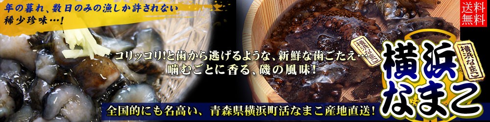 期間限定出荷 青森県横浜町産 なまこ 送料無料 横浜なまこ1kg ナマコ クール便 他商品と同梱不可 配送日指定不可 Om 112av かめあし商店オンラインショップ 通販 Yahoo ショッピング