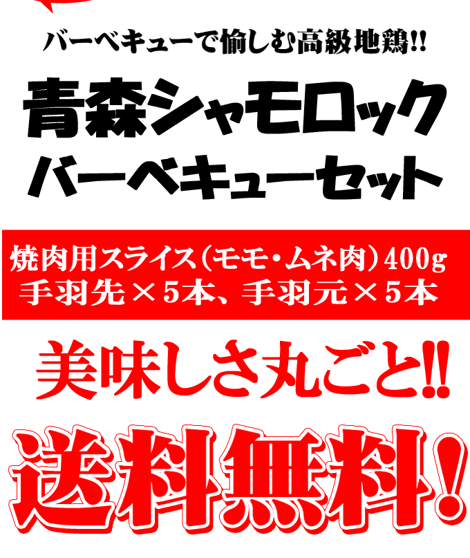 ふるさと納税 五戸町 2個入×5パック やわらかamp;レンジで簡単調理 和風チキンハンバーグ 地鶏 青森シャモロック 最大94％オフ！  青森シャモロック