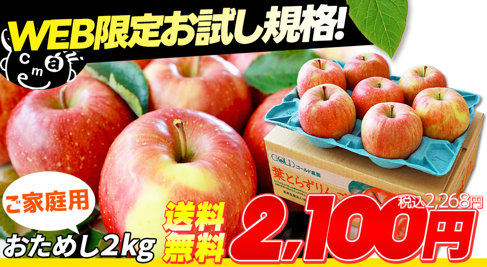 青森県産りんご　爽やかな香りと甘さ♪家庭用トキ　15個入り　数量限定