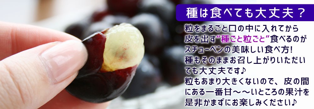 【冬バーゲン 特別送料無料！】 3～5房入 贈答用 送料無料 手付き箱 青森県 鶴田町産 冬のぶどう ※常温便 ※産地直送のため同梱不可  www.vintapix.mx