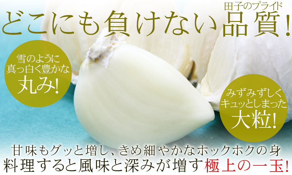 青森県田子町産 にんにく 4kg 80サイズ 田子の白 Lサイズ15玉入り - 青森 たっこにんにく 通販
