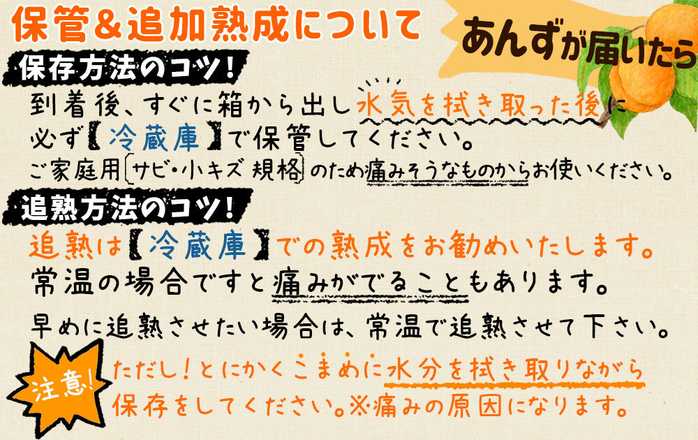 あんず 生食 送料無料 減農薬栽培 アンズ 杏 [※冷蔵便][※産地直送同梱