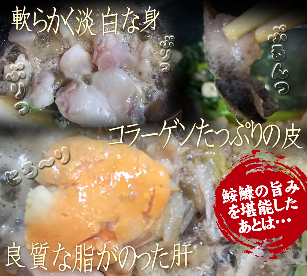 青森県風間浦 活締め きあんこう 【あんこう鍋セット 4人前】 駒嶺商店