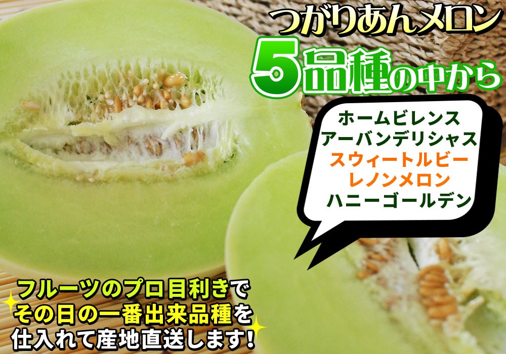 青森県産【つがりあん メロン 2玉 約2.5Kg前後】 L-2Lサイズ 送料無料