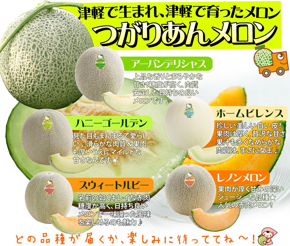 青森県産【つがりあん メロン 2玉 約2.5Kg前後】 L-2Lサイズ 送料無料