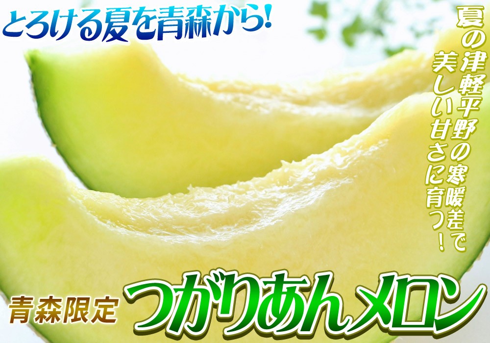 青森県産【つがりあん メロン 2玉 約2.5Kg前後】 L-2Lサイズ 送料無料