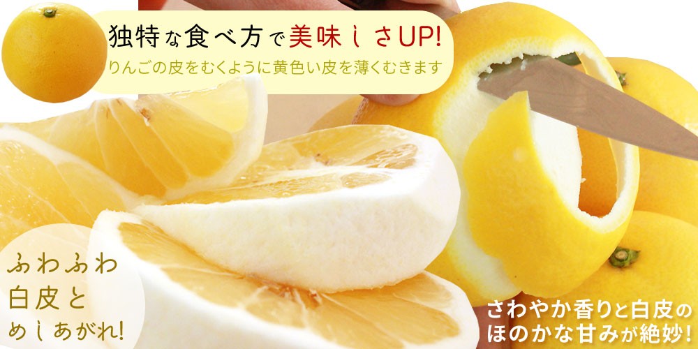 宮崎県産 【日向夏自家用3kg】 送料無料 15-20玉前後 直径6-8cm位です
