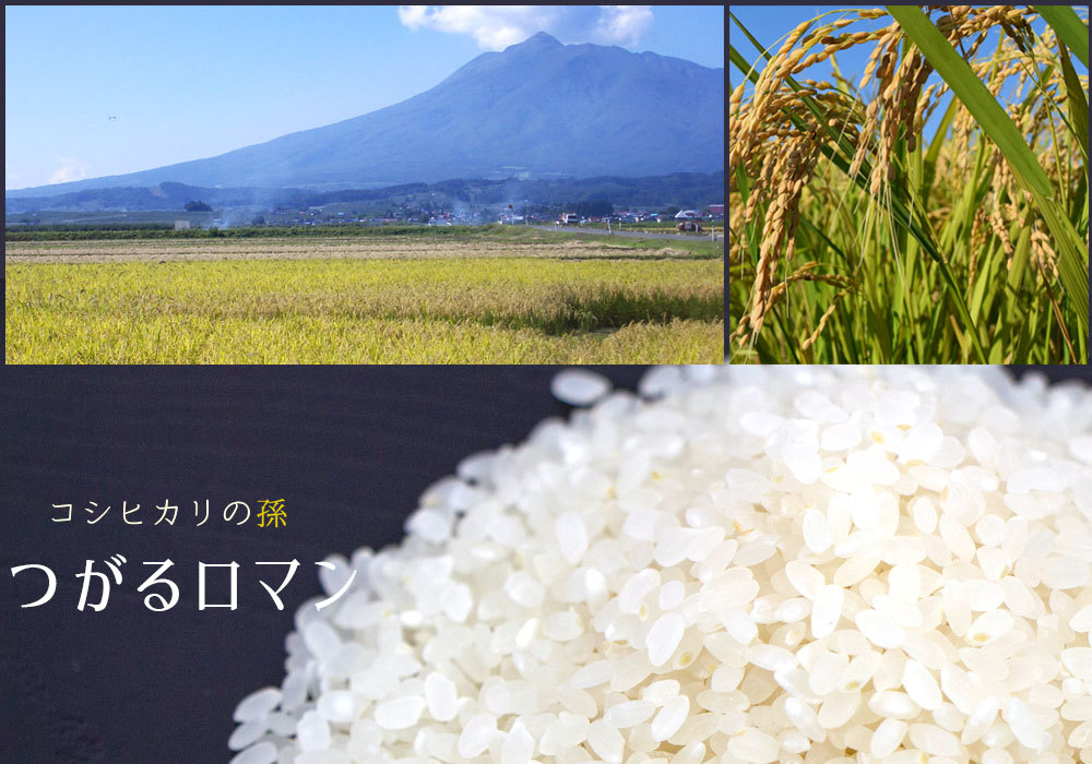 青森県産米 つがるロマン 5キロ 000000000359_ascubG9.jpg