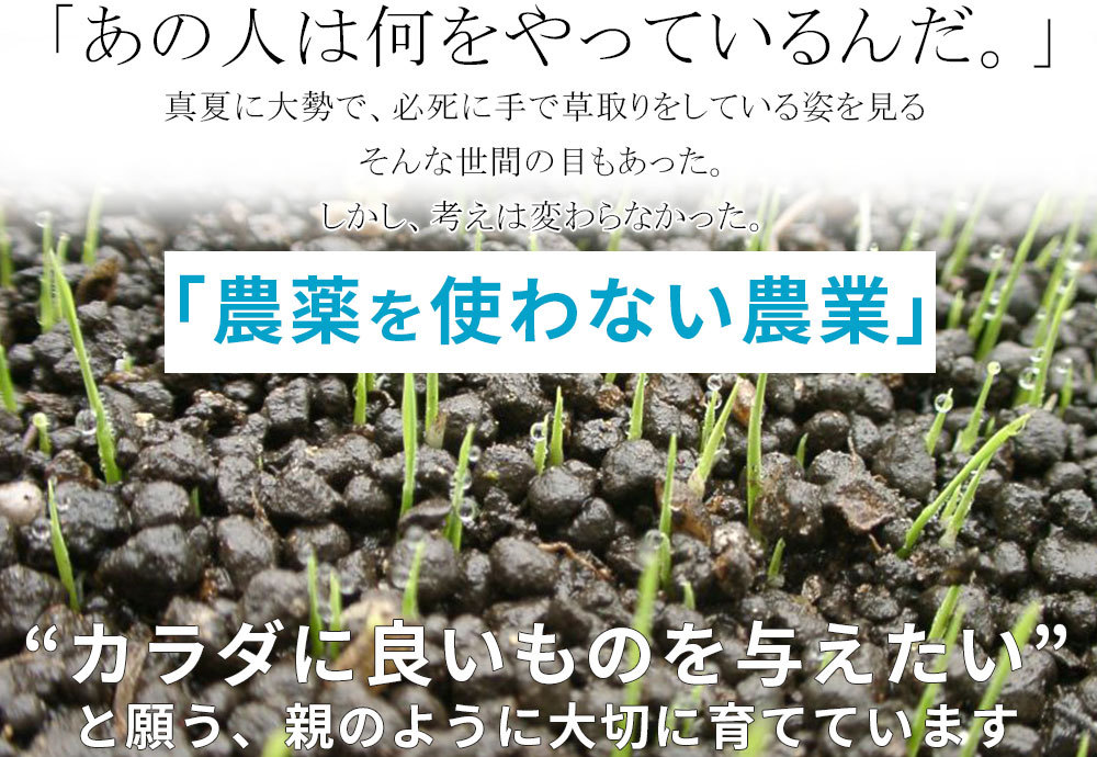 青森県産農薬栽培期間中不使用春掘りごぼう 華畑農園/除草剤使用しないで、無農薬で自然栽培したニンニク