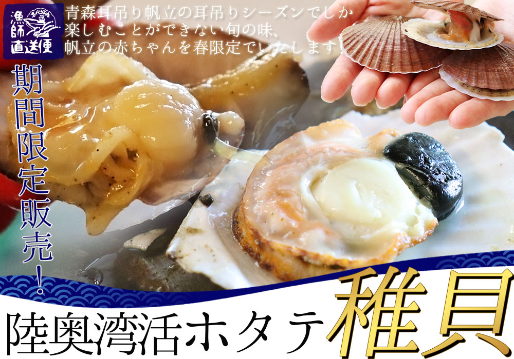 ほたて 活稚貝 送料無料 青森陸奥湾 【ホタテ稚貝 2kg前後 40-90