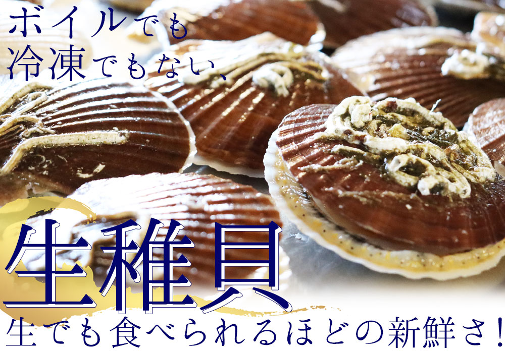 imgrc0095544705.jpg