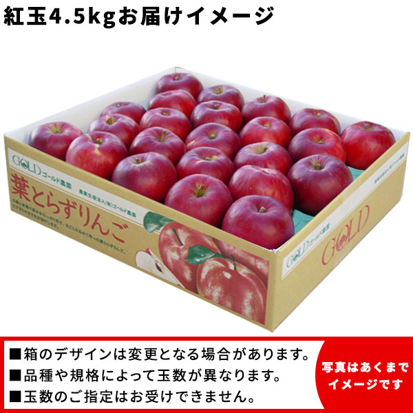 あおりんご2ページ★2+3 costco_aomorikensan_apple_sunf