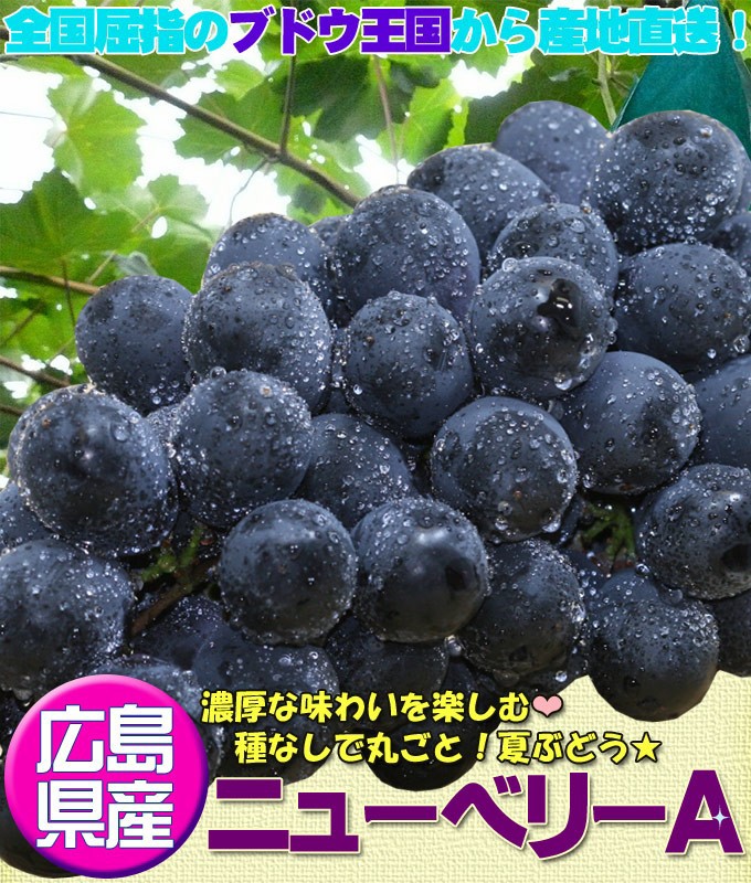 送料無料 ぶどう ニューベリーa 化粧箱4 5房 広島県産 種無し ぶどう ブドウ 贈答用 ギフト クール便 当店他商品との同梱不可 112tk かめあし商店オンラインショップ 通販 Yahoo ショッピング